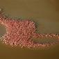 Yo Dawg - I Heard You Like Flamingos