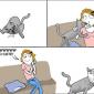 Kitty Troll