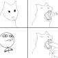 Cat Yawn