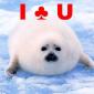 I Club U