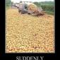 Suddenly Potatoes
