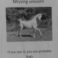 Missing Unicorn