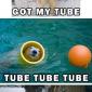 Polar Bear Tube