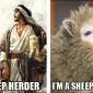 I'm A Sheep Herder