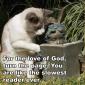 Slow Reader