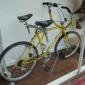 Sociable Bicycle