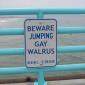 Beware Jumping Gay Walrus