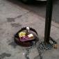 Hipster Trap