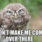 Don't make me come over there