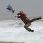 It's a little windy today