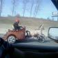 Mot-Horse-ycle