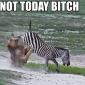 Not today!
