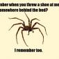 Spider's Remember