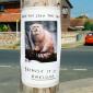 Have you seen this cat?