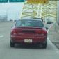 License plates don't lie