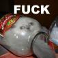 A cat in a jar