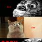 Copy cat!