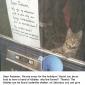 Dear Postman