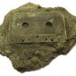 Modern fossil