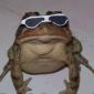 Deal With It