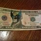 Wolverine Money
