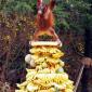 I am the banana king!