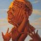 Hand Illusion