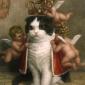 How your cat probably sees itself