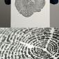Tree of Life