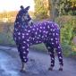 Just a horse in pajamas.