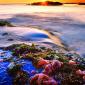 Vancouver Island
