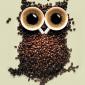 Coffee Owl
