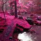 Moss Bridges