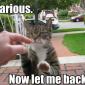 Cat Is Not Amused