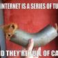 The Internet