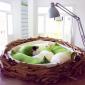 Nest Bed