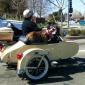 Motorcycle Dog