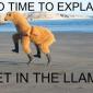 No Time To Explain!