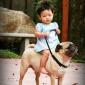 Pony