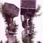Tree House