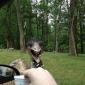 Nature - You Scary