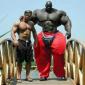 Needs More Muscle