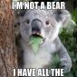 What Do You Mean I'm Not A Bear
