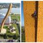 Insane Climbing Wall