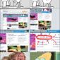 Honey Boo Boo Rage