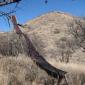 Sketchy looking slide