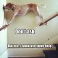 Don't ask