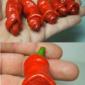 Strange Growths