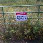 Must be Canadian Land