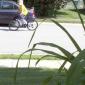 Just Going For A Bike Ride